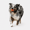 Interactive Dog Ball – Self-Rolling Pet Play Toy