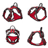 Heavy-Duty Adjustable Dog Harness Belt