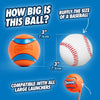 Durable Bouncing Rubber Dog Ball