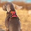 Heavy-Duty Adjustable Dog Harness Belt