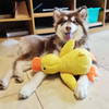 Plush Squeaky Pet Toy