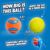 Interactive Dog Ball – Self-Rolling Pet Play Toy