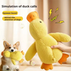 Plush Squeaky Pet Toy