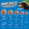 Interactive Dog Ball – Self-Rolling Pet Play Toy