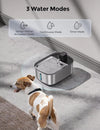 Automatic Pet Water Fountain