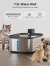 Automatic Pet Water Fountain
